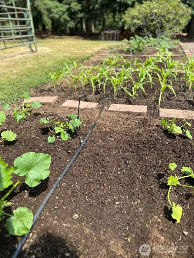 Raised bed garden