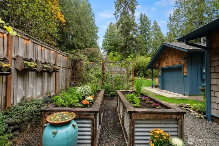 Lots of room for gardening and play.