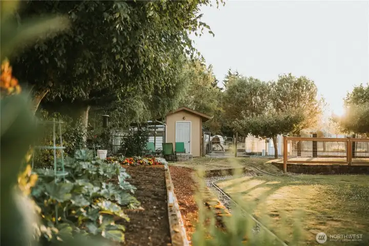 The landscape includes a culinary herb garden, white table grapes on an arbor, and a productive berry patch with raspberries, strawberries, and blueberries. An established orchard features multiple apple varieties, Italian prunes, Asian plum, pear, cherry, and wild field apples. Raised garden beds sit within a low-maintenance English-style garden designed to support pollinators, alongside a lavender garden with English, Spanish, and French varieties.