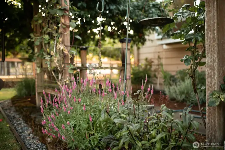 Horse arena, greenhouse, chicken coop settled next to a lush orchard filled with apples, plums, pear and cherries.