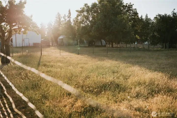 Lower field next to barn