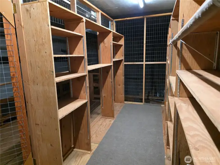 Spacious Assigned Basement Storage Area
