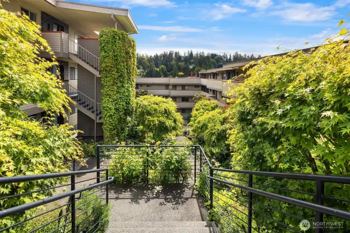 Greeted by a luscious courtyard at the center of the complex. Greeted by a luscious courtyard at the center of the complex.