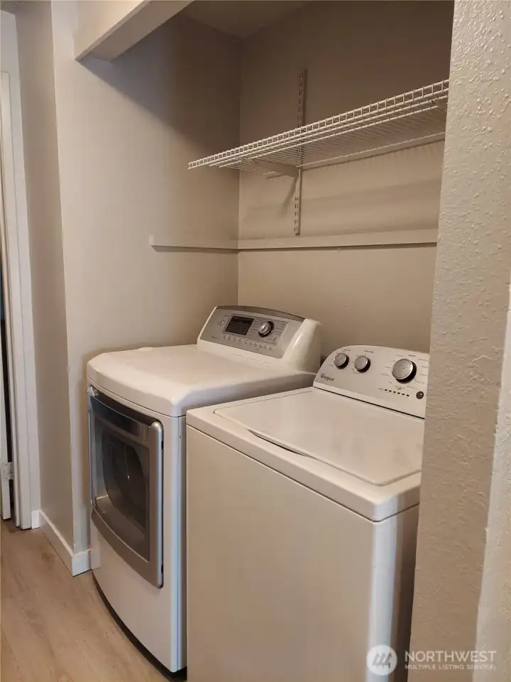 Photo prior to tenant occupancy.