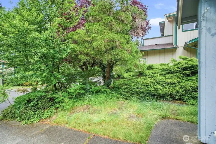 Front yard