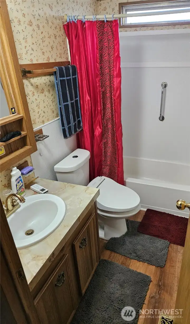 Hall bathroom