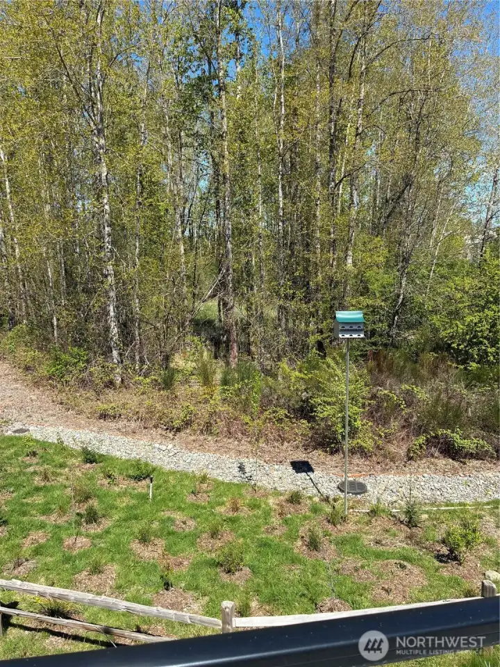 Green space directly behind the building and parking area.