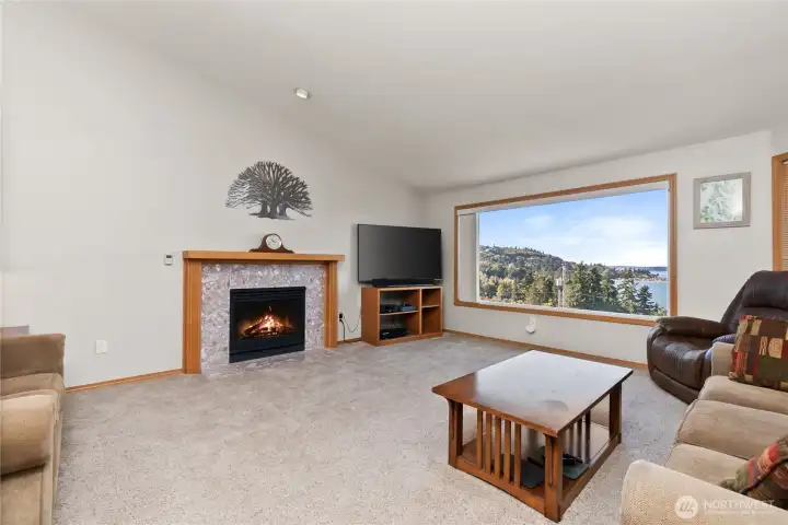 Natural Gas Fireplace