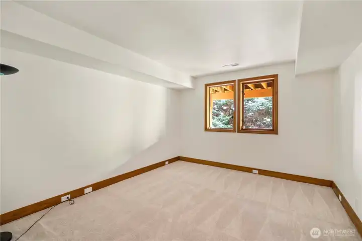 5th Bedroom on lower level