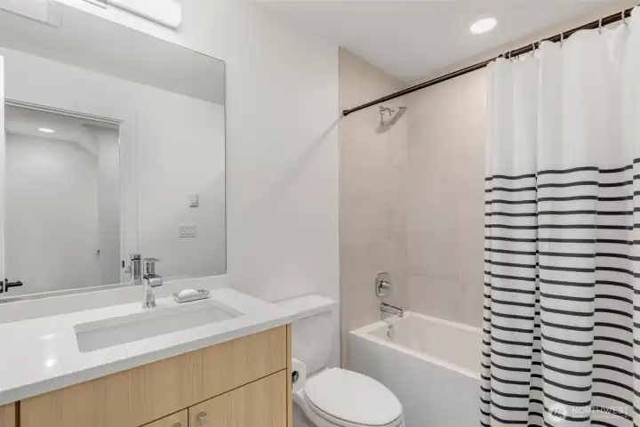 Guest bath on lower level