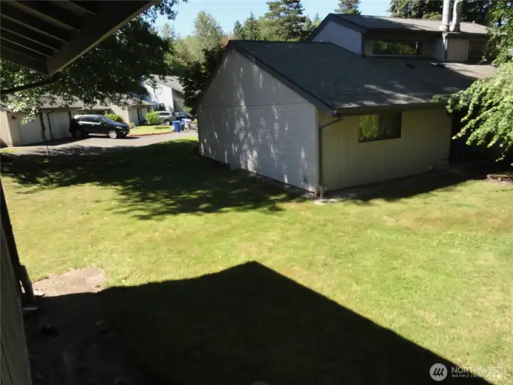 Back yard