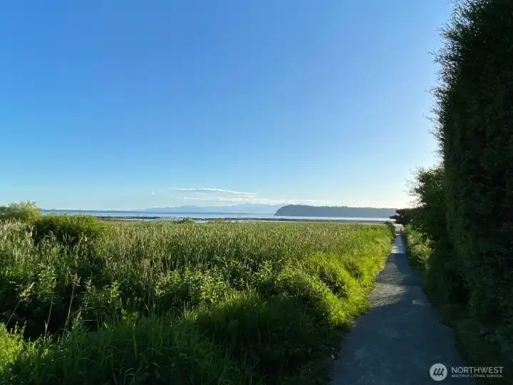 Walking path surrounded by greenery leading to community beach