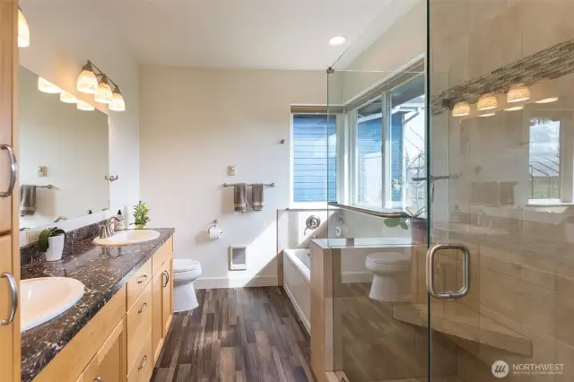 Primary bathroom
