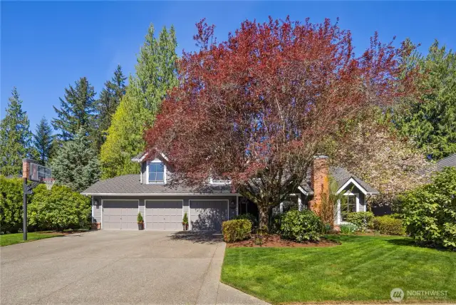Recently updated driveway with beautiful landscaping and seasonal trees with a basketball hoop.