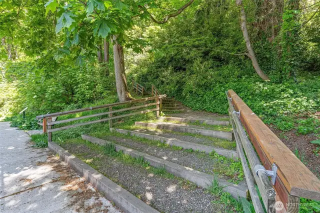 Hiking trails in Kinnear Park.