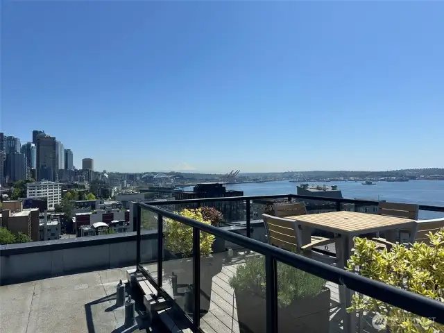 City views from rooftop deck