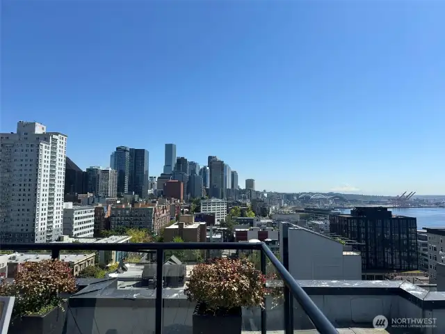 See Mt. Rainier