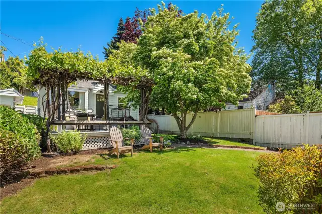 A move-in ready house fully updated with a legal DADU is such a rarity. Throw in a fantastic neighborhood and you've got this house ready and waiting for you. Welcome home!
