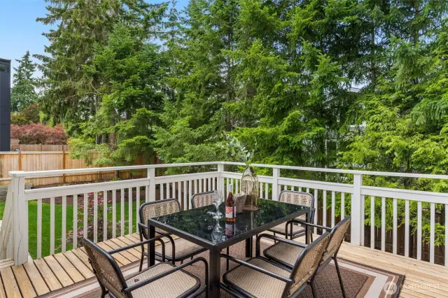Large deck overlooks back yard