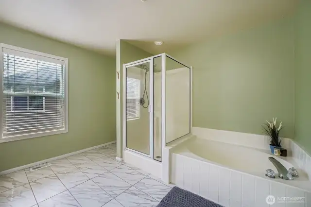 Primary bathroom shower/tub