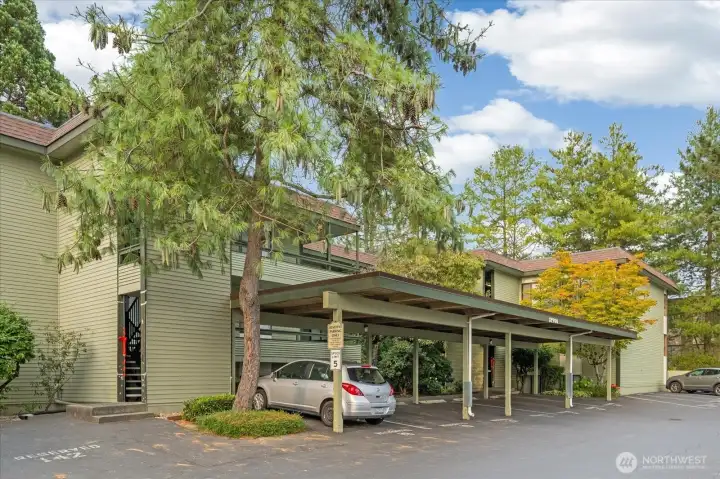 Off Street, designated  parking #85