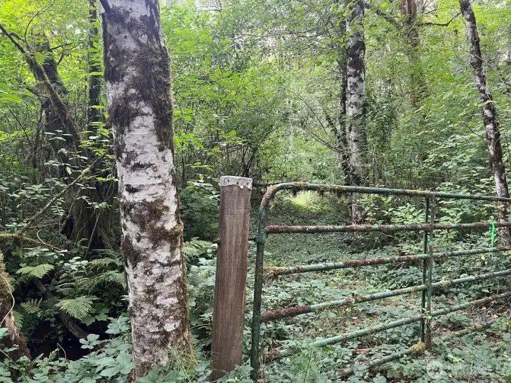 CAREFULLY walk around gate to walk back on property