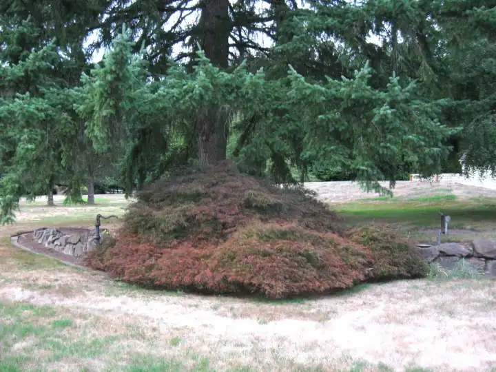Lushly, landscaped gardens