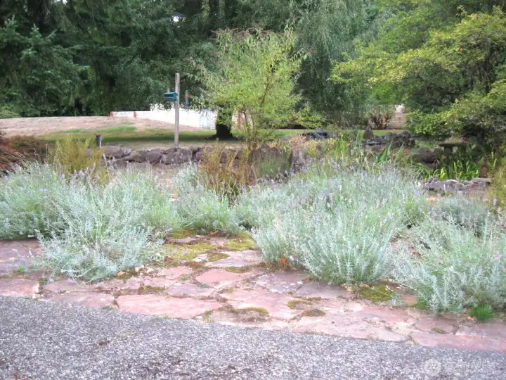 Lavender country garden area adjoins the patio