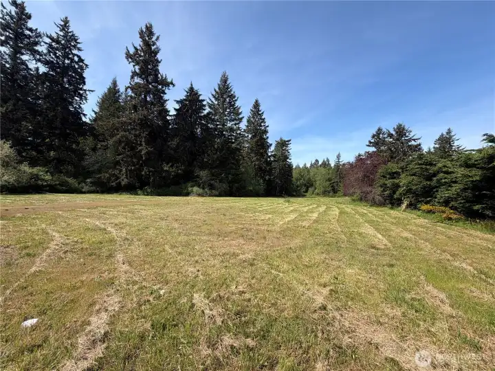 Level commercially zoned parcel with PUD power, water and an installed septic system. Perfect for a business or a home or both !  Photo facing W. Tree line is the W boundary.