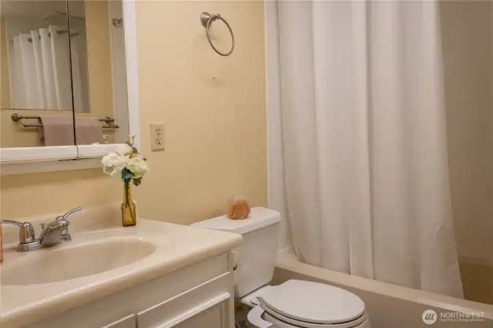 Hall bath