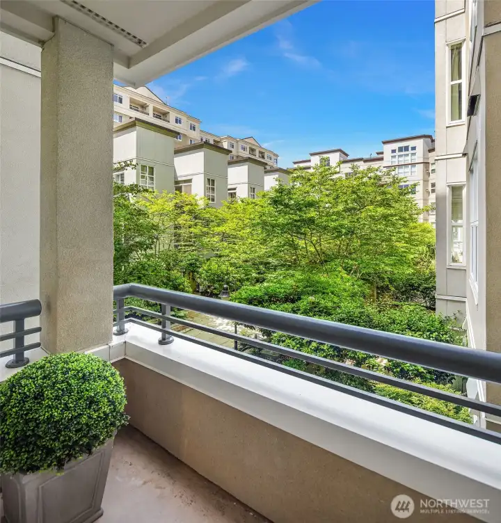 View from private deck