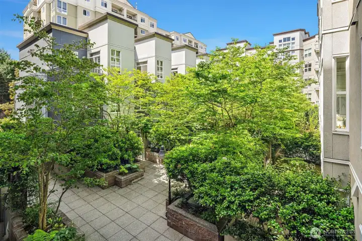 Courtyard with mature landscaping