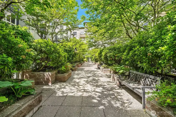 Quiet path leading to Downtown Bellevue Park and Old Main
