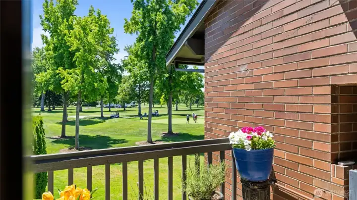 Patio 2