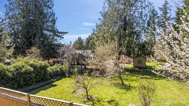 abundance of fruit bearing trees