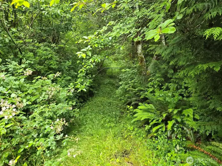 Driveway to the river. Driveway to the river.