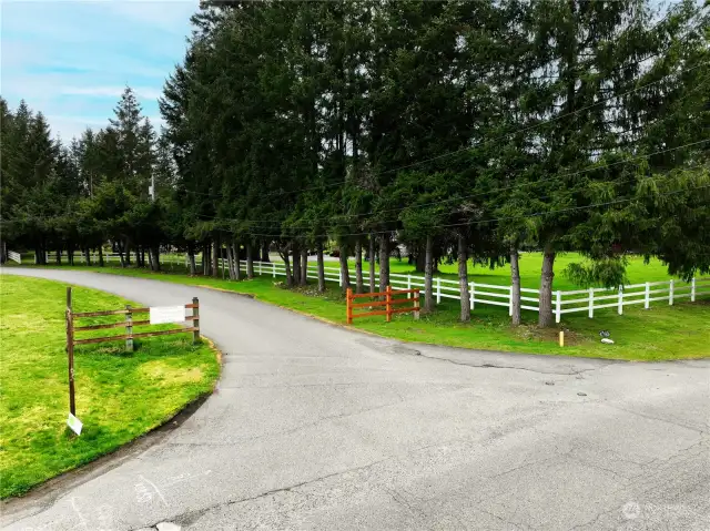 Private road, 250th Ave NE seen from NE 8th Street.