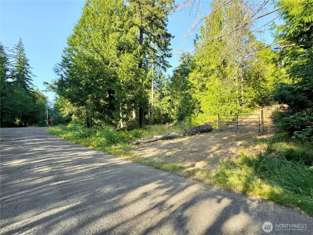 Looking north along entry.