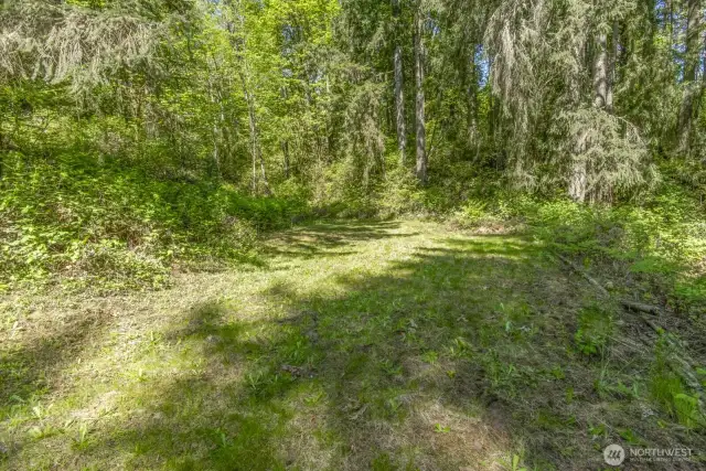 Backyard area