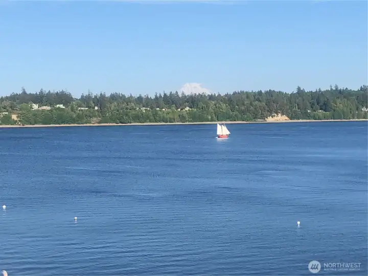 Bold MT Views from nearly Every Room! Watch the Orcas swim and marine life play!