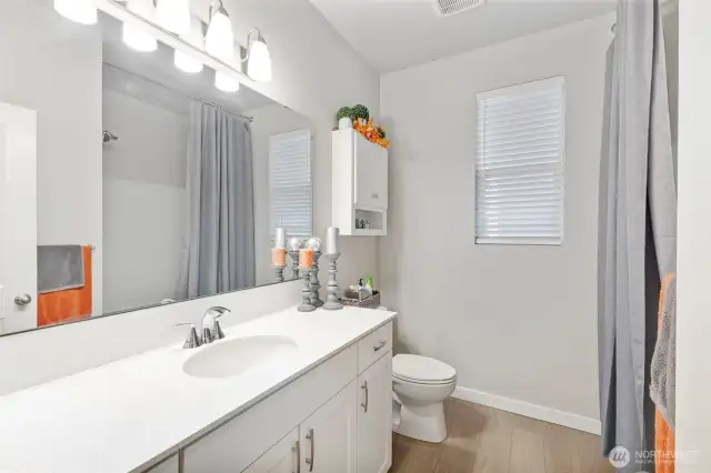 Hall/Guest bathroom