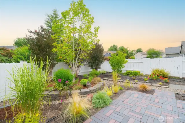Backyard Landscaped