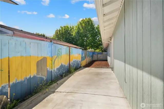 Back Yard
