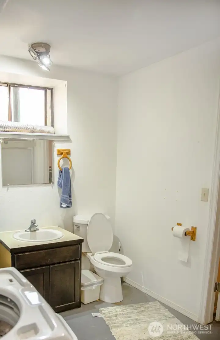 Lower Level Bathroom