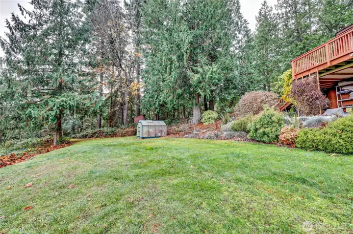 Front yard with small greenhouse