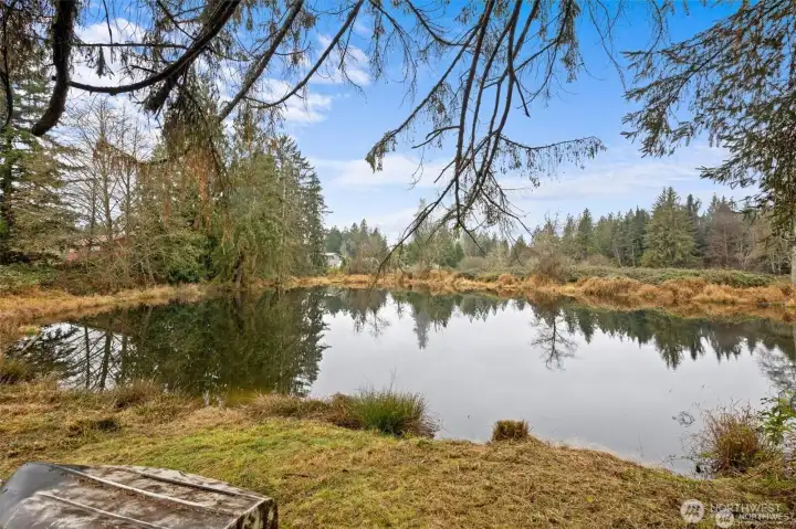 Private Pond Stocked with Fish