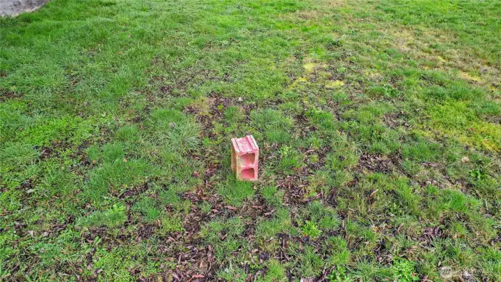 Approx. location of septic tank/drain field area