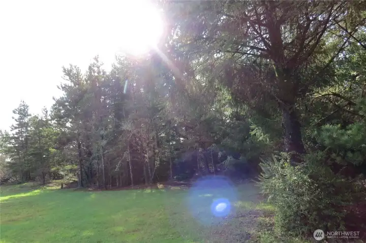 THE PROPERTY IS BROADER AT THE STREET AND NARROW AT THE LAKE, BUT STILL ROOM TO PUT A DOCK TO ENJOY THE WATER VIEW!