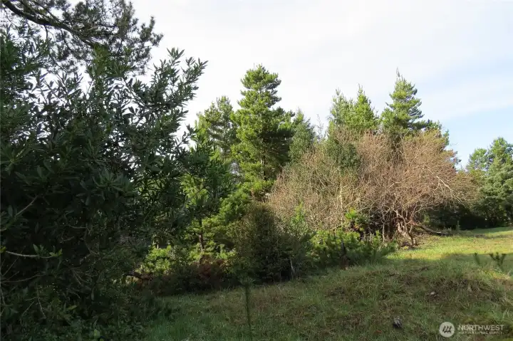 BUILD A PERMANENT RESIDENCE OR VACATION HOME OR USE THE PROPERTY AS AN RV CAMPING LOT FOR 120 DAYS PER YEAR!