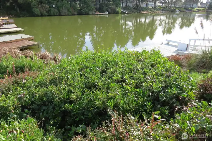 VIEW OF THE LAKE FROM THE PROPERTY!  THERE IS ROOM HERE FOR ANOTHER DOCK TO TAKE ADVANTAGE OF FISHING OR ENJOYING THE WILDLIFE!